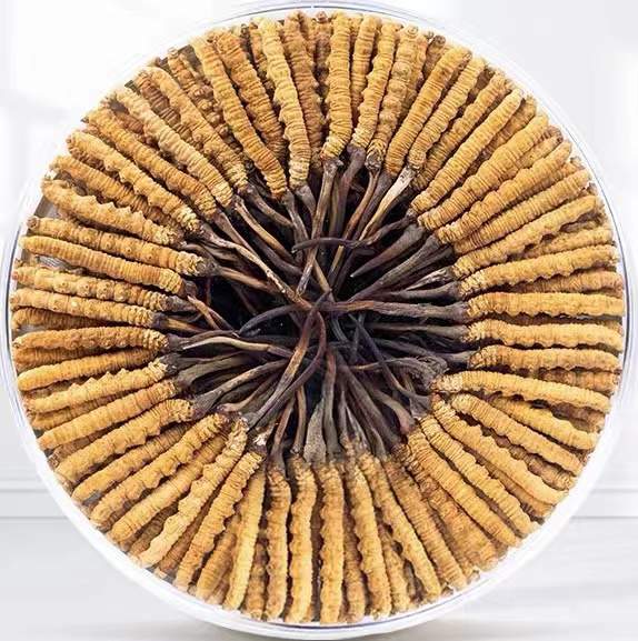 天安乡冬虫夏草回收